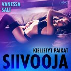 Kielletyt paikat: Siivooja - eroottinen novelli (MP3-Download)