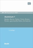 Aluminium 1 (eBook, PDF)