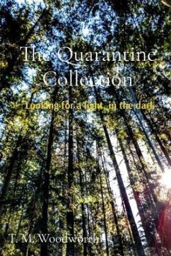 The Quarantine Collection (eBook, ePUB) - Woodworth, T. M.