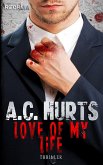 Love Of My Life (eBook, ePUB) Love Of My Life (eBook, ePUB)