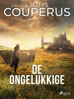Cover De ongelukkige (eBook, ePUB)