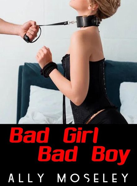 Bad Girl Bad Boy (eBook, ePUB)