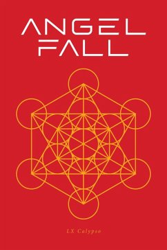 Cover Angel Fall (eBook, ePUB)