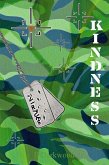 Kindnesss (The 7 Virtues, #1) (eBook, ePUB)