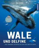 Wale & Delfine (Mängelexemplar)