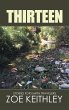 Thirteen - Bild 1