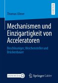 Mechanismen und Einzigartigkeit von Acceleratoren