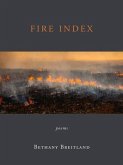 Fire Index: Poems