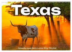 Texas - Howdy aus dem Lone Star State! (Wandkalender 2024 DIN A3 quer), CALVENDO Monatskalender - Scott, M.