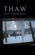 THAW - Bild 1