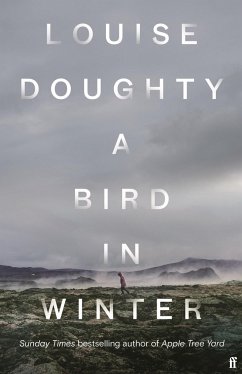 A Bird in Winter - Doughty, Louise