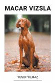 Macar Vizsla Macar Vizsla