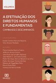 A efetivação dos Direitos Humanos e Fundamentais (eBook, ePUB)