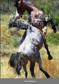 A Horse Called Baltimore