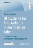 Ökosysteme für Innovationen in der Sozialen Arbeit (eBook, PDF)