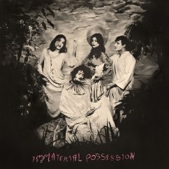 Immaterial Possession - Immaterial Possession