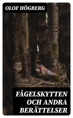 Cover Fågelskytten och andra berättelser (eBook, ePUB)