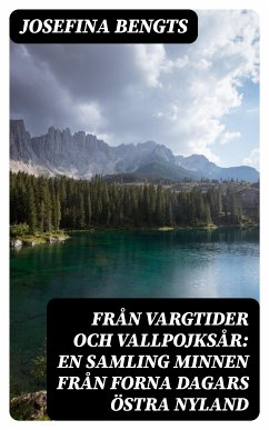 Från vargtider och vallpojksår: En samling minnen från forna dagars Östra Nyland (eBook, ePUB) - Bengts, Josefina