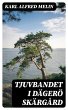 Tjuvbandet i Dägerö skärgård... - Bild 1
