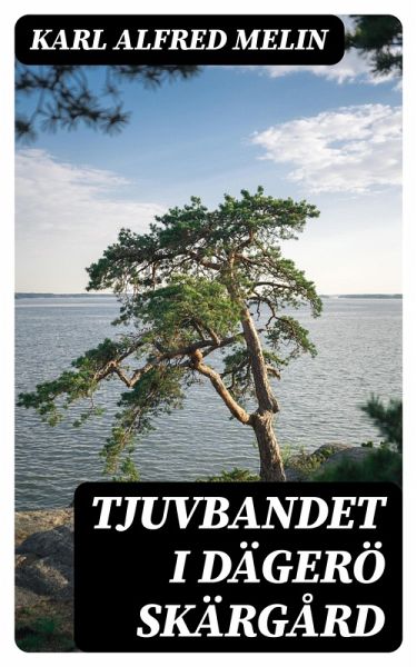 Tjuvbandet i Dägerö skärgård (eBook, ePUB)