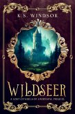 Wildseer (Lost Citadels of Andrysfal, #0.5) (eBook, ePUB)