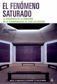 Cover El fenómeno saturado (eBook, ePUB)