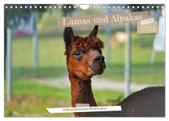 Lamas und Alpakas - südamerikanische Schönheiten (Wandkalender 2024 DIN A4 quer), CALVENDO Monatskalender - Meisenzahl, Jessica