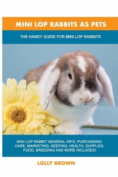 Mini Lop Rabbits as Pets - Brown, Lolly