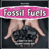 Fossil Fuels A Variety Of Facts Children's Science Book