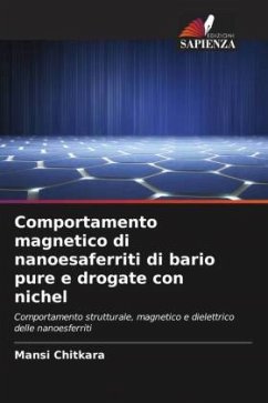 Comportamento magnetico di nanoesaferriti di bario pure e drogate con nichel - Chitkara, Mansi