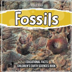 Fossils 4th Grade Educational Facts - Kids, Bold