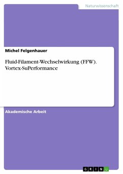 Fluid-Filament-Wechselwirkung (FFW). Vortex-SuPerformance - Felgenhauer, Michel