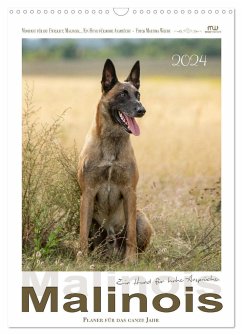 Malinois - Ein Hund für hohe Ansprüche (Wandkalender 2024 DIN A3 hoch), CALVENDO Monatskalender
