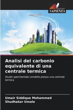 Analisi del carbonio equivalente di una centrale termica - Siddique Mohammed, Umair;Umale, Shudhakar