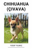 Chihuahua (Çivava) Chihuahua (Çivava)