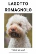 Lagotto Romagnolo - Bild 1