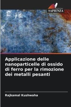 Applicazione delle nanoparticelle di ossido di ferro per la rimozione dei metalli pesanti - Kushwaha, Rajkamal