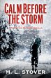 Calm Before the Storm (eBook, ePUB) - Bild 1