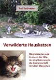 Verwilderte Hauskatzen