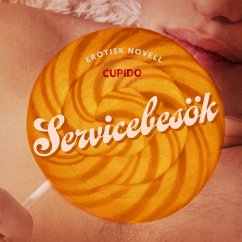 Cover Servicebesök - erotisk novell (MP3-Download)