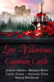 Love and Valentines at Caynham Castle (Holiday Romance at Caynham Castle) (eBook, ePUB)