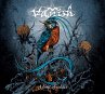 A Hint Of Solace (Digipak) - Bild 1