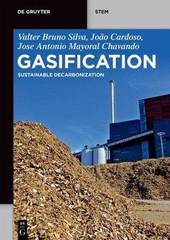 Gasification - Silva, Valter Bruno;Cardoso, João;Chavando, Antonio