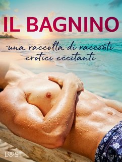 Il bagnino: una raccolta di racconti erotici eccitanti (eBook, ePUB) - Södergran, Alexandra; Salt, Vanessa; Stigsdotter, Saga