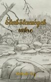 Életbölcsességek tükre (eBook, ePUB)