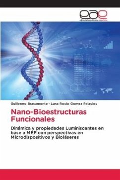 Nano-Bioestructuras Funcionales - Bracamonte, Guillermo;Gomez Palacios, Luna Rocío