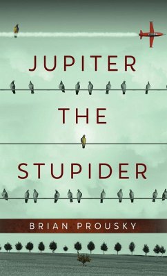 Cover Jupiter the Stupider
