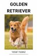 Golden Retriever - Bild 1