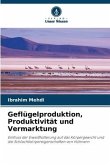 Geflügelproduktion, Produktivität und Vermarktung