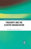 Proximity and the Cluster Organization (eBook, ePUB)